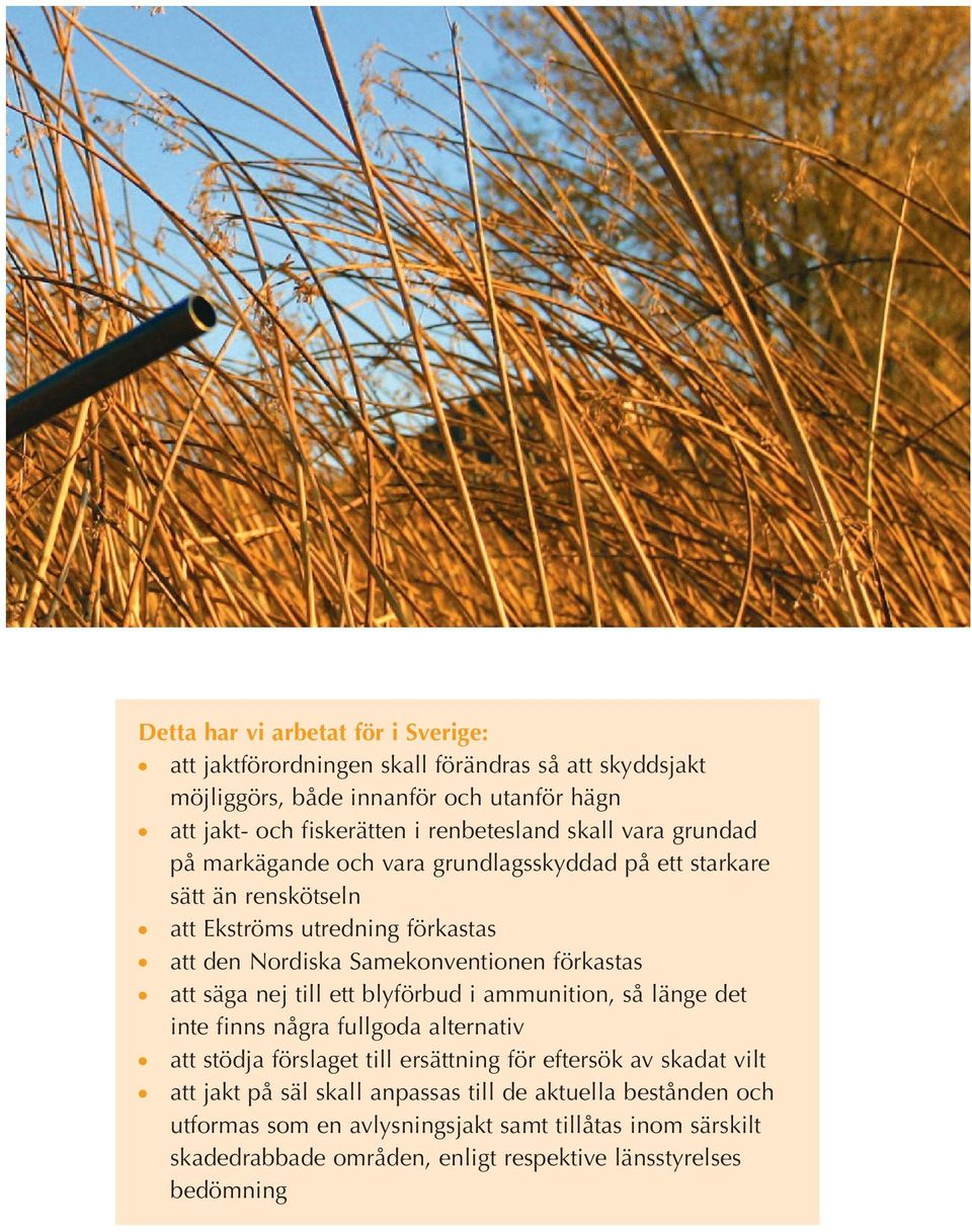 Samekonventionen förkastas att säga nej till ett blyförbud i ammunition, så länge det inte finns några fullgoda alternativ att stödja förslaget till ersättning för eftersök