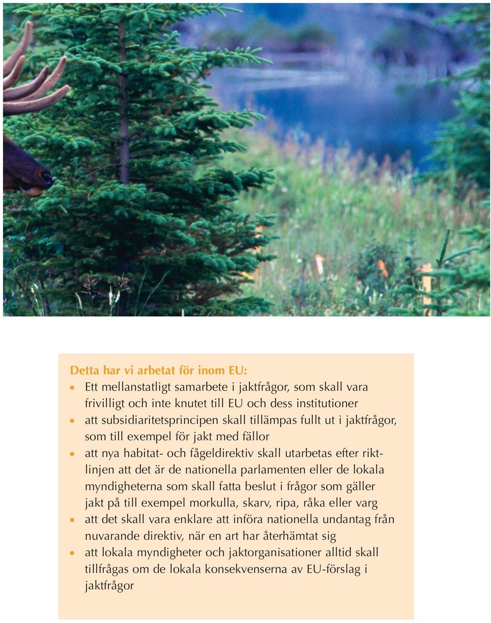 eller de lokala myndigheterna som skall fatta beslut i frågor som gäller jakt på till exempel morkulla, skarv, ripa, råka eller varg att det skall vara enklare att införa nationella
