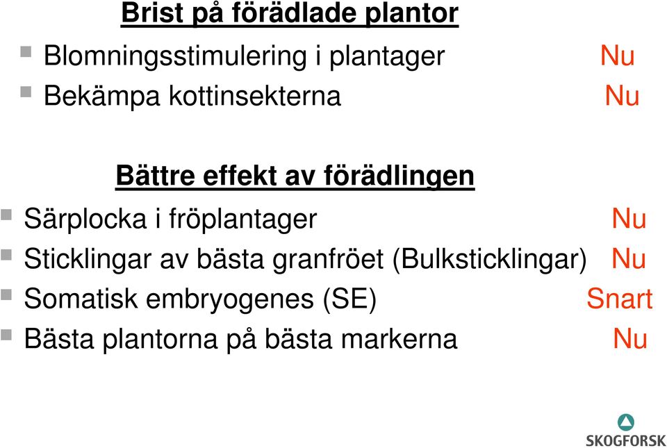 fröplantager Nu Sticklingar av bästa granfröet (Bulksticklingar)