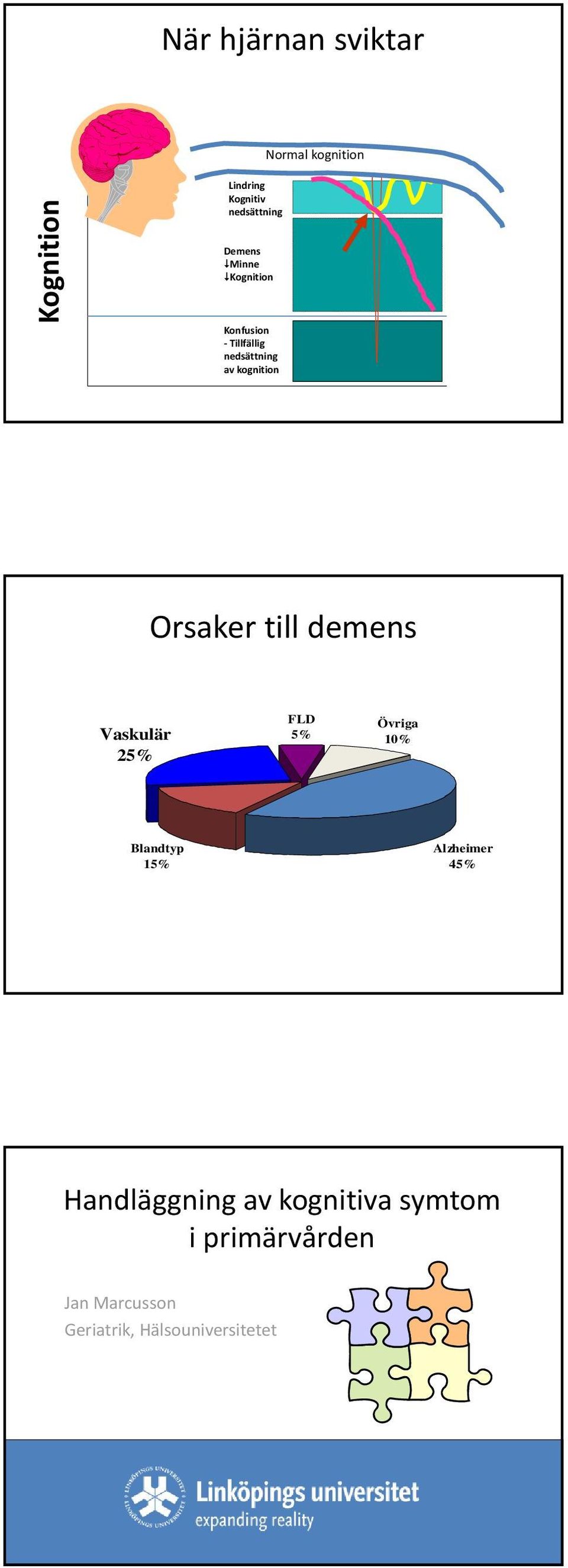 till demens Vaskulär 25% FLD 5% Övriga 10% Blandtyp 15% Alzheimer 45%