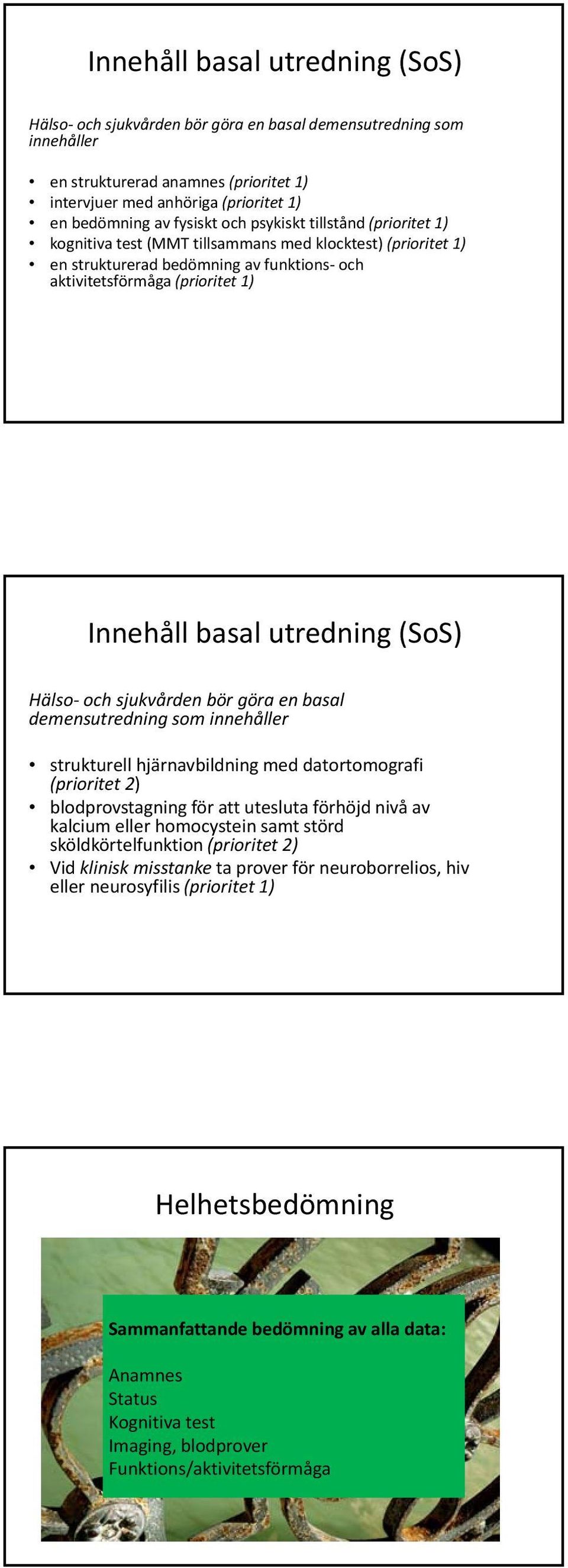 utredning (SoS) Hälso och sjukvården bör göra en basal demensutredning som innehåller strukturell hjärnavbildning med datortomografi (prioritet 2) blodprovstagning för att utesluta förhöjd nivå av