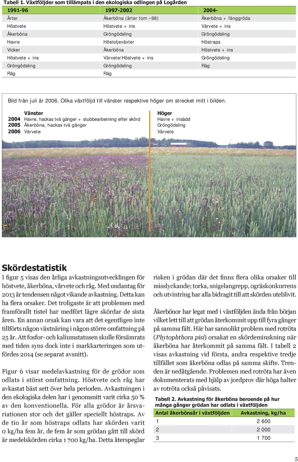 Gröngödsling Havre Höstoljeväxter Höstraps Vicker Åkerböna Höstvete + ins Höstvete + ins Vårvete/Höstvete + ins Gröngödsling Gröngödsling Gröngödsling Råg Råg Råg Bild från juli år 26.