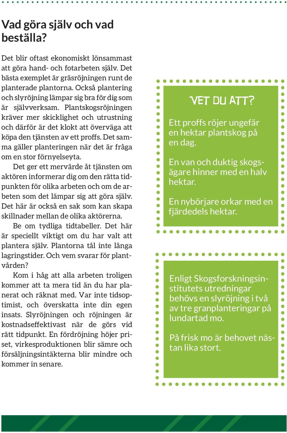 Plantskogsröjningen kräver mer skicklighet och utrustning och därför är det klokt att överväga att köpa den tjänsten av ett proffs.