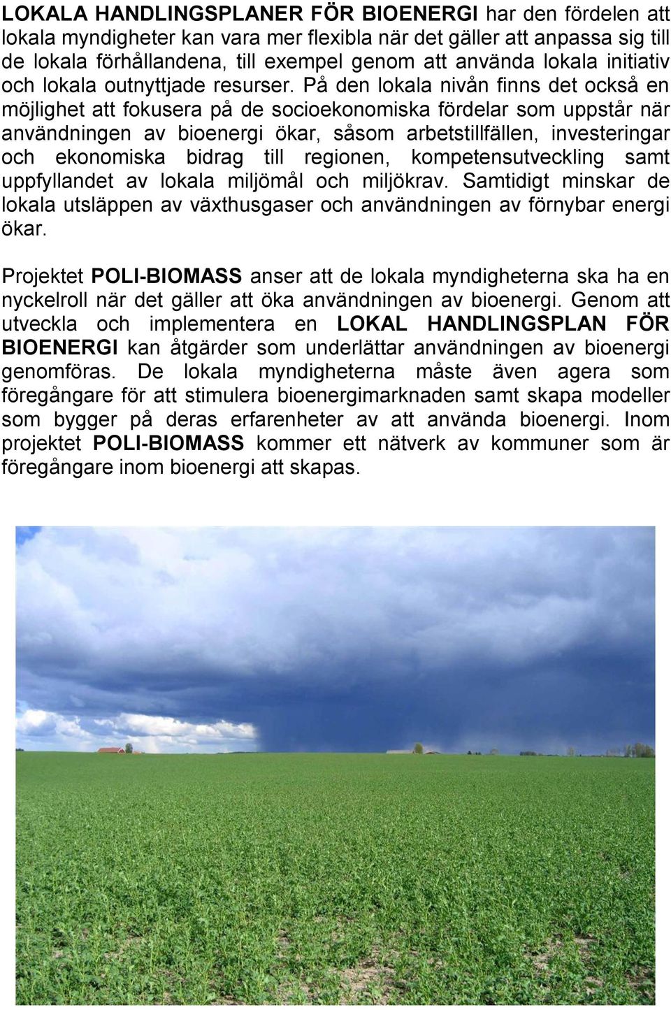 På den lokala nivån finns det också en möjlighet att fokusera på de socioekonomiska fördelar som uppstår när användningen av bioenergi ökar, såsom arbetstillfällen, investeringar och ekonomiska