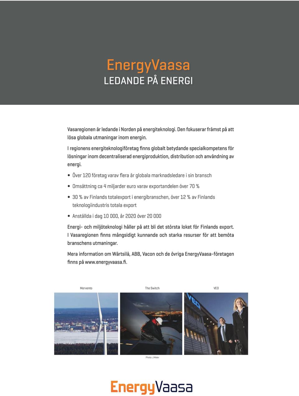 Över 120 företag varav flera är globala marknadsledare i sin bransch Omsättning ca 4 miljarder euro varav exportandelen över 70 % 30 % av Finlands totalexport i energibranschen, över 12 % av Finlands