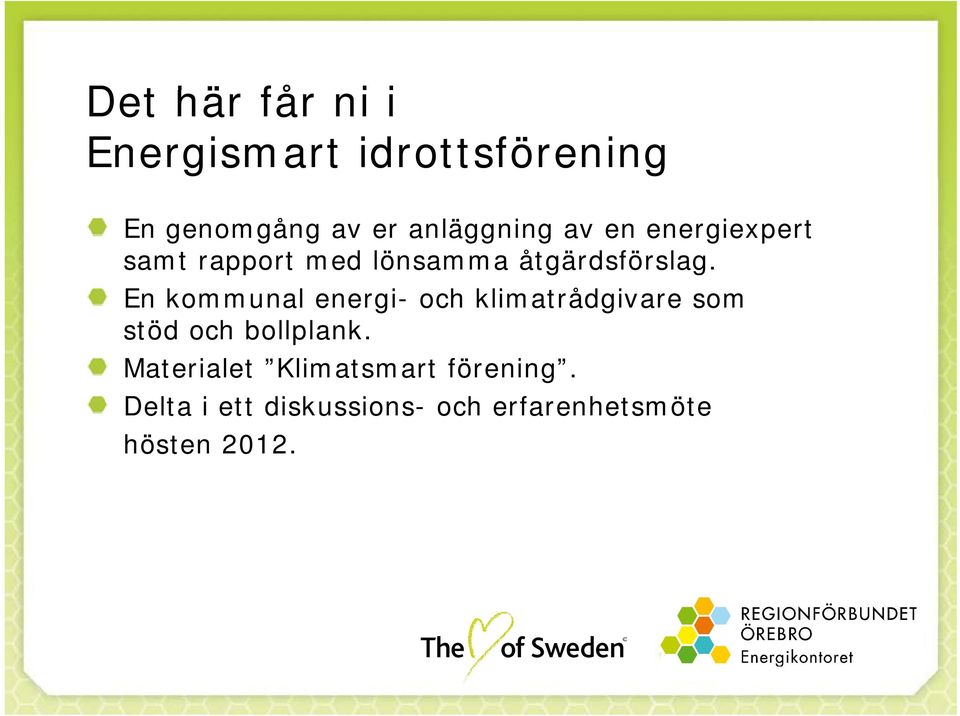 En kommunal energi- och klimatrådgivare som stöd och bollplank.