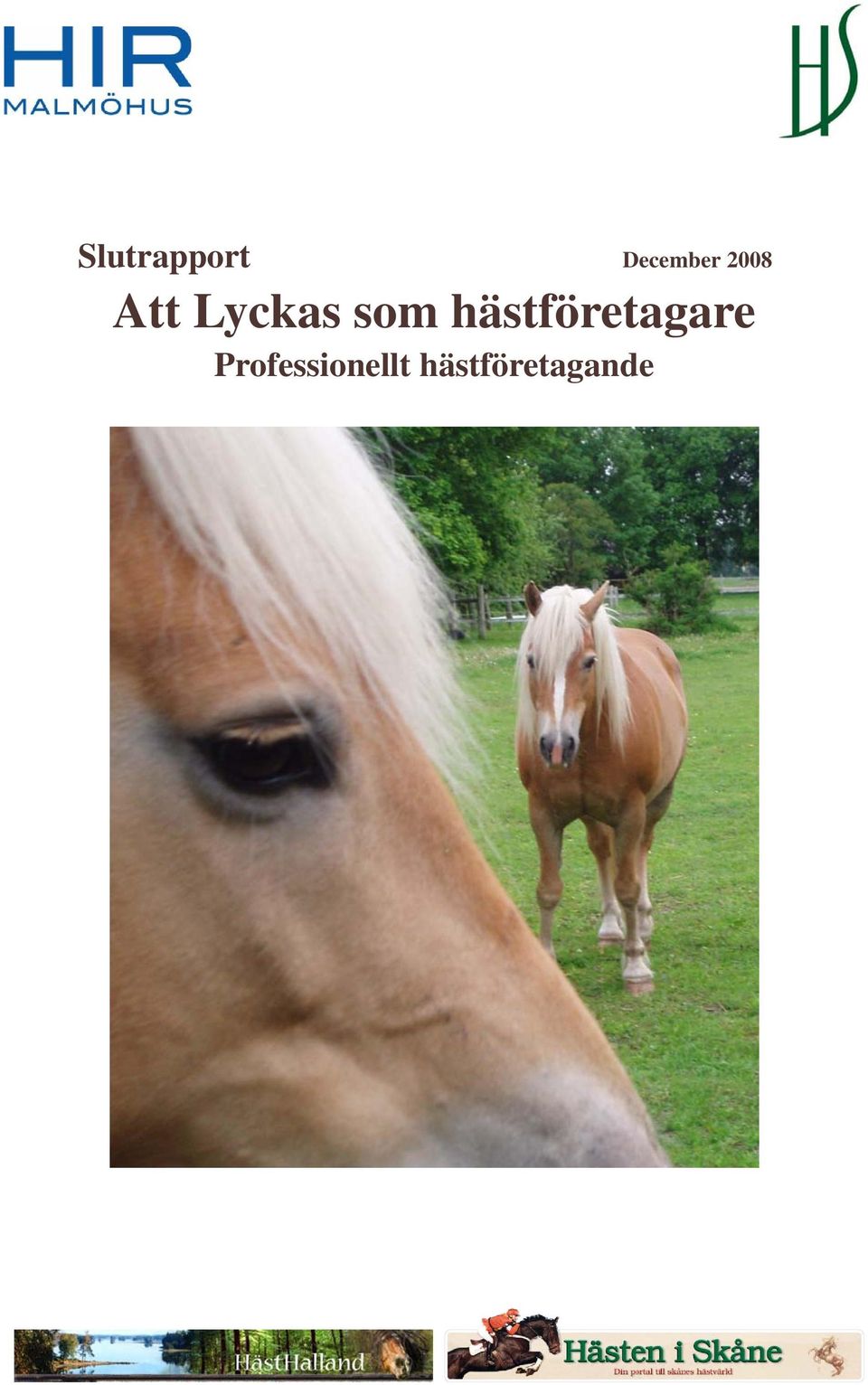 hästföretagare