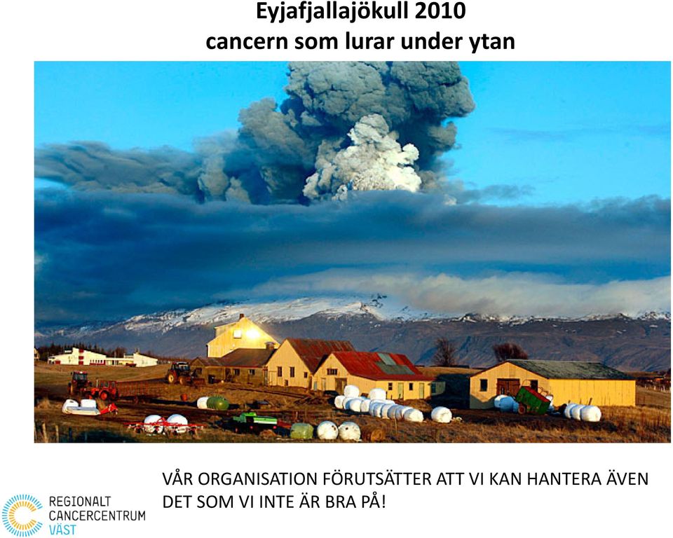 chef för leverkirurgi VÅR ORGANISATION FÖRUTSÄTTER