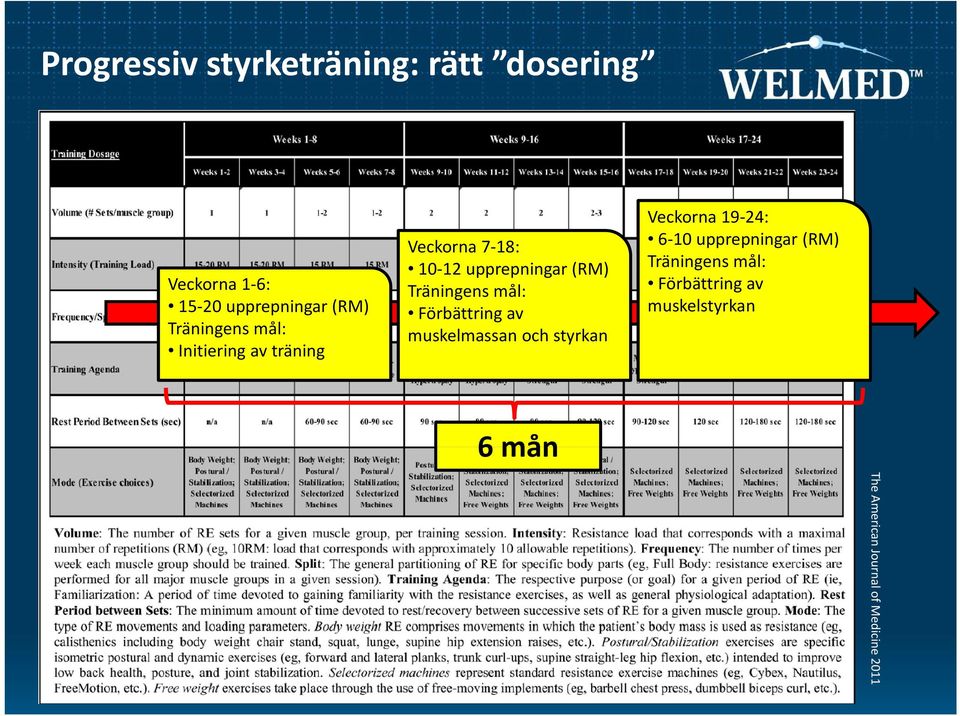 Träningens mål: Förbättring av muskelmassan och styrkan Veckorna 19 24: 6 10