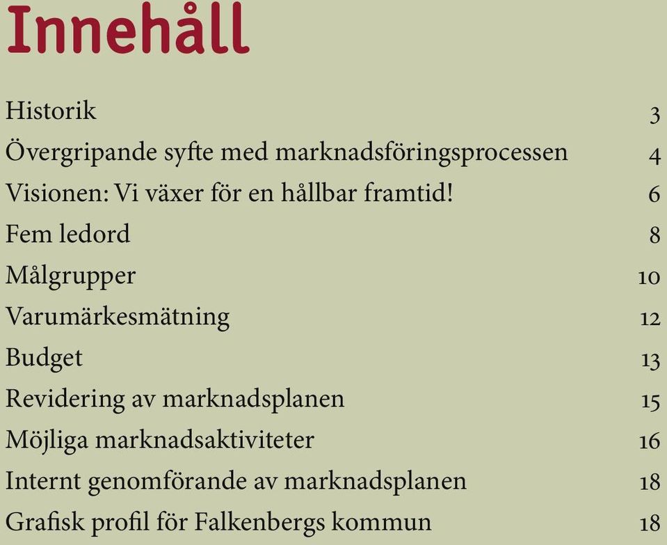 Fem ledord Målgrupper Varumärkesmätning Budget Revidering av marknadsplanen