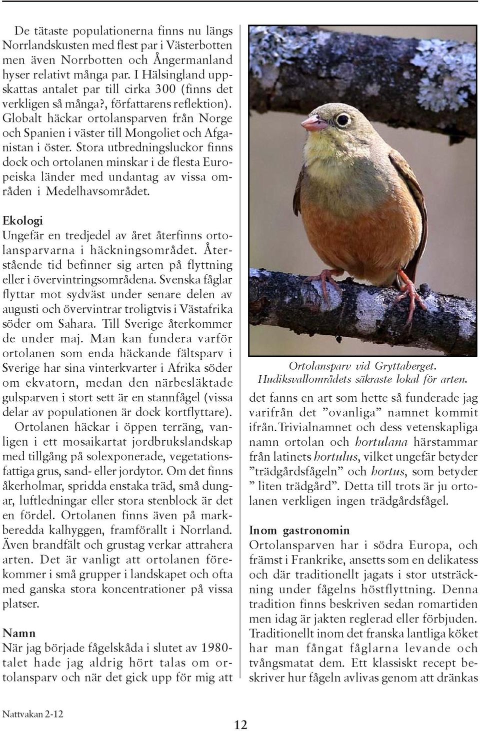 Globalt häckar ortolansparven från Norge och Spanien i väster till Mongoliet och Afganistan i öster.