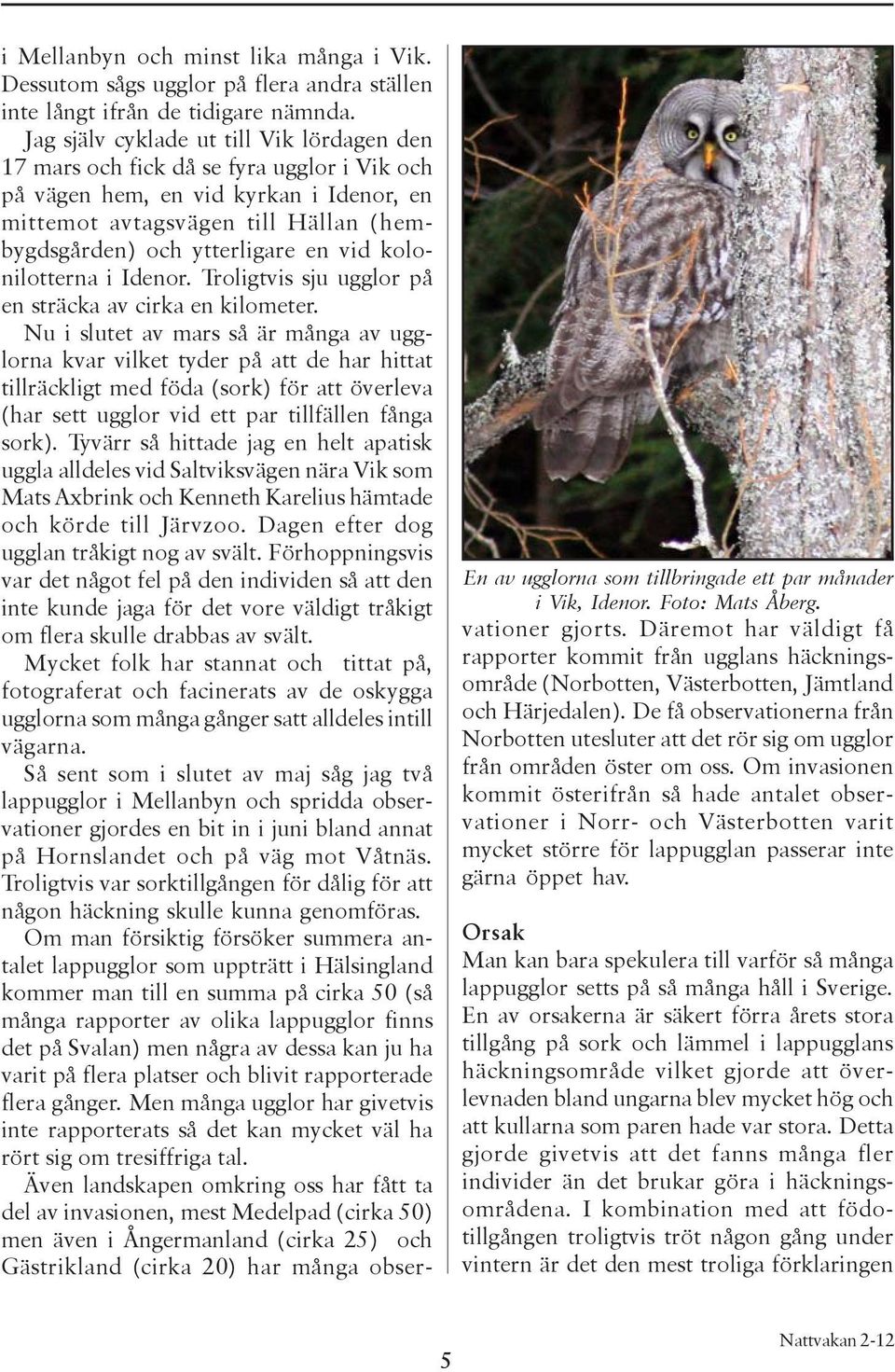 vid kolonilotterna i Idenor. Troligtvis sju ugglor på en sträcka av cirka en kilometer.