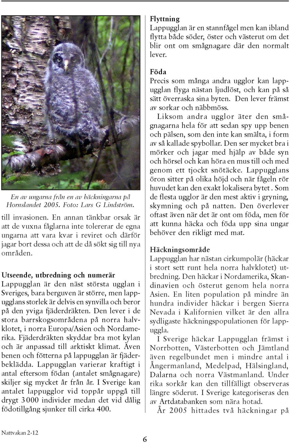En annan tänkbar orsak är att de vuxna fåglarna inte tolererar de egna ungarna att vara kvar i reviret och därför jagar bort dessa och att de då sökt sig till nya områden.