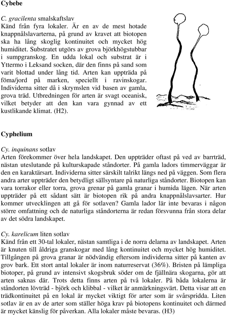 Arten kan uppträda på föma/jord på marken, speciellt i ravinskogar. Individerna sitter då i skrymslen vid basen av gamla, grova träd.