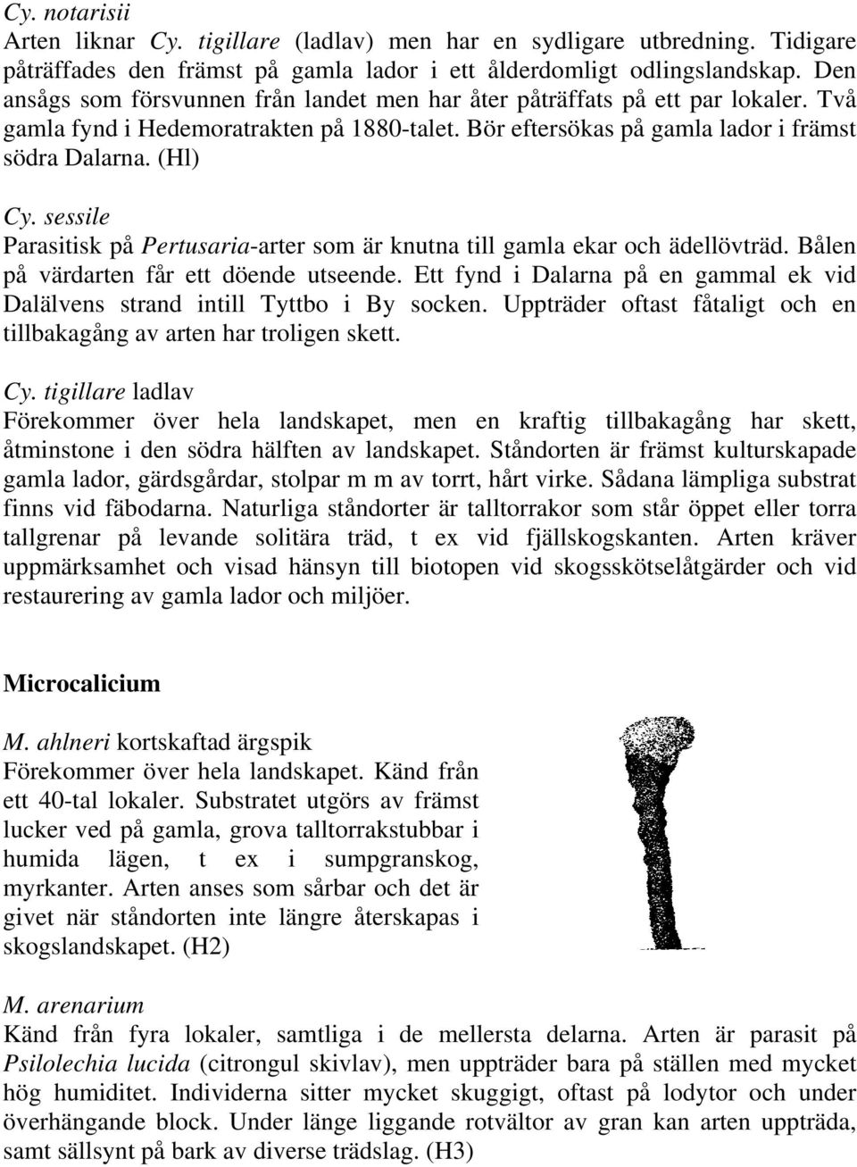 sessile Parasitisk på Pertusaria-arter som är knutna till gamla ekar och ädellövträd. Bålen på värdarten får ett döende utseende.