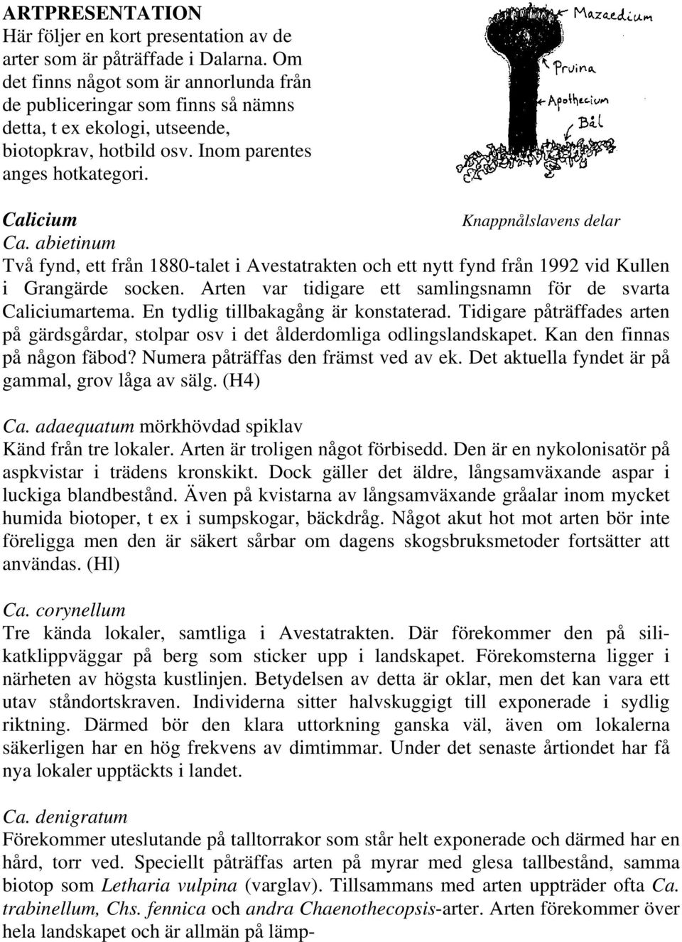 Calicium Knappnålslavens delar Ca. abietinum Två fynd, ett från 1880-talet i Avestatrakten och ett nytt fynd från 1992 vid Kullen i Grangärde socken.