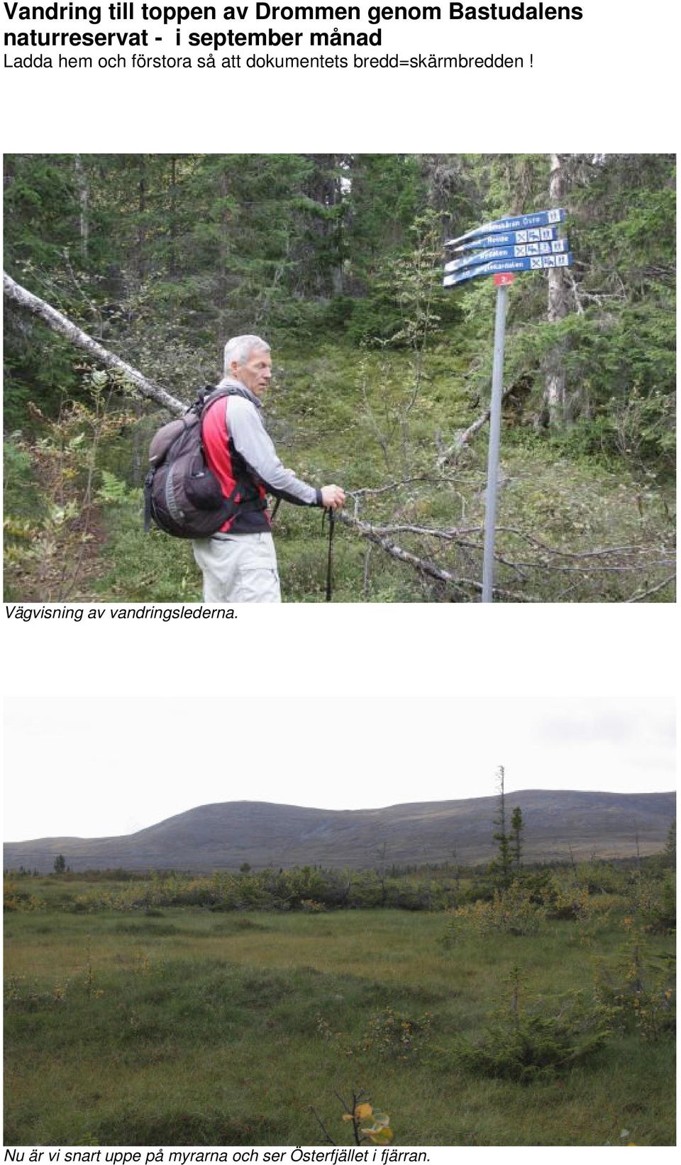 Nu är vi snart uppe på