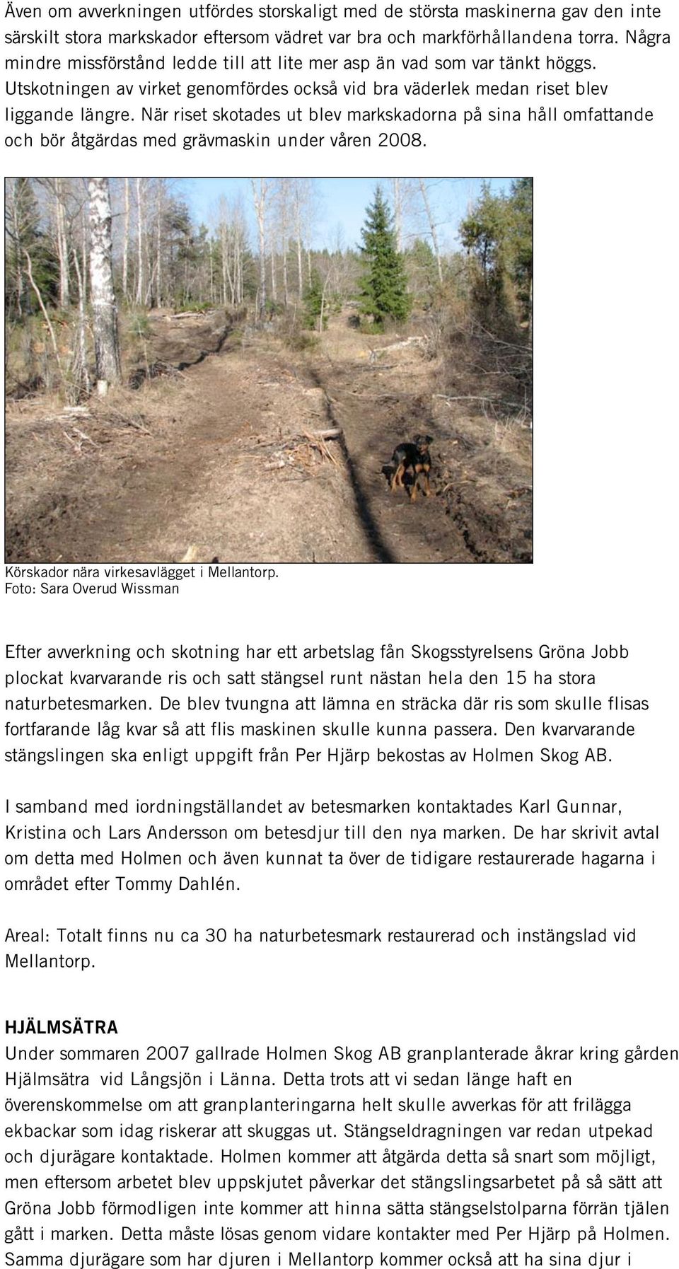 När riset skotades ut blev markskadorna på sina håll omfattande och bör åtgärdas med grävmaskin under våren 2008. Körskador nära virkesavlägget i Mellantorp.