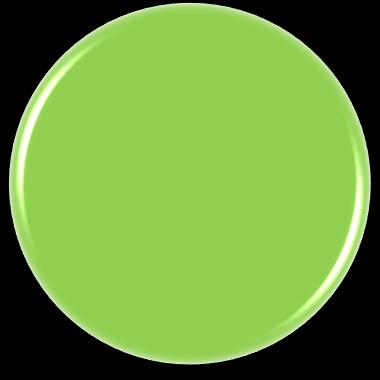 Kärnkompetenser (Nice, 2012) Career