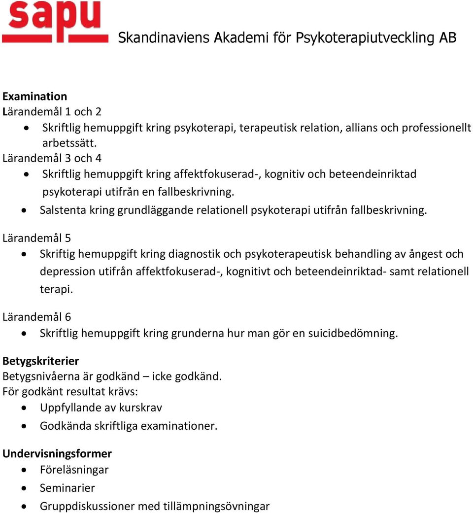 Salstenta kring grundläggande relationell psykoterapi utifrån fallbeskrivning.