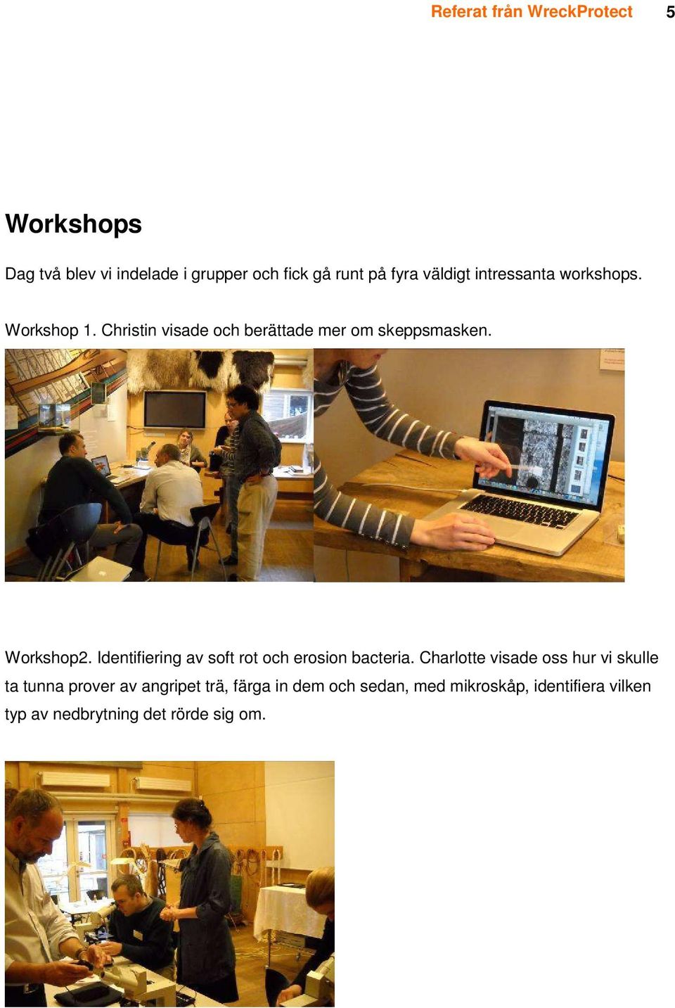 Identifiering av soft rot och erosion bacteria.