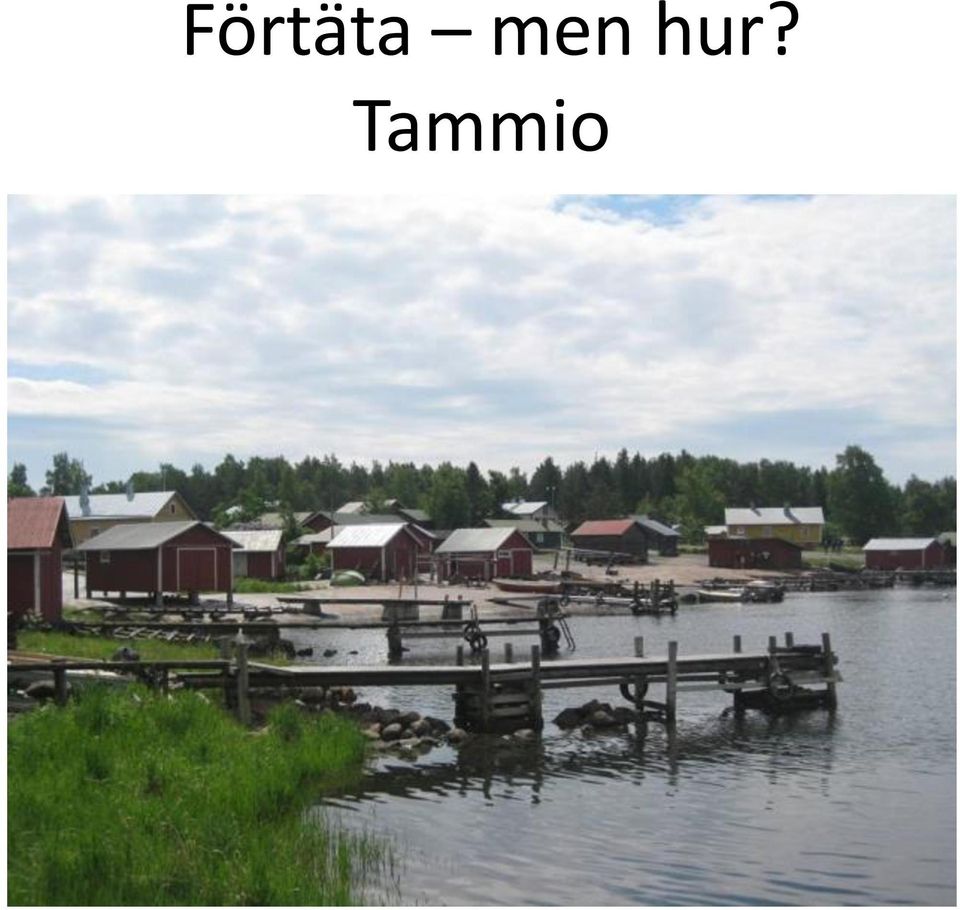 Tammio