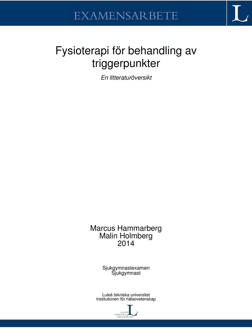 Hammarberg Malin Holmberg 2014 Sjukgymnastexamen