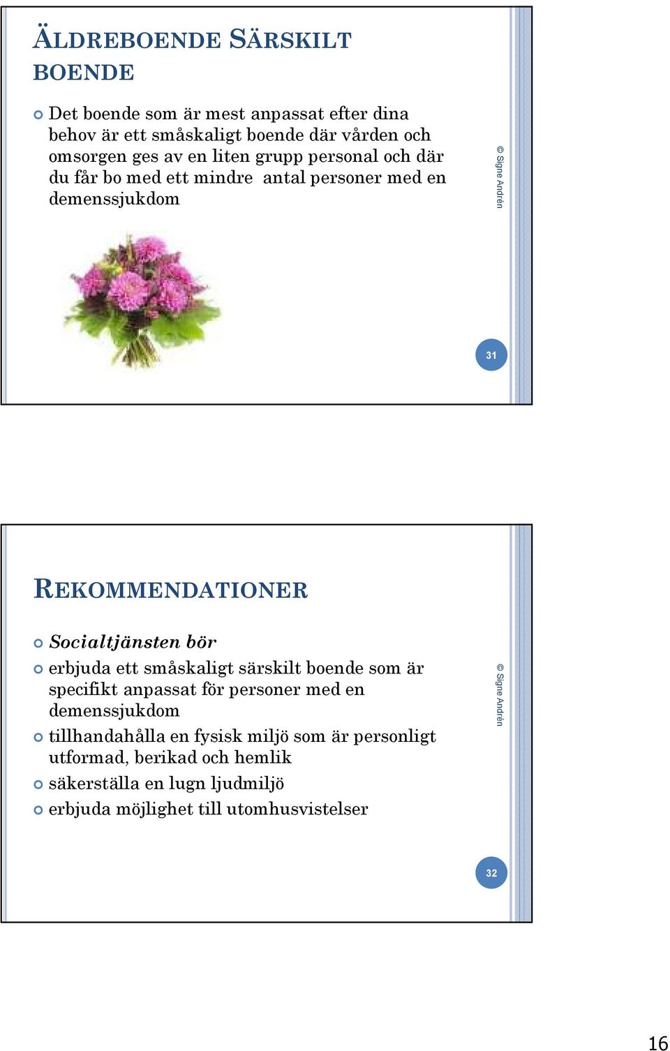 Socialtjänsten bör erbjuda ett småskaligt särskilt boende som är specifikt anpassat för personer med en demenssjukdom