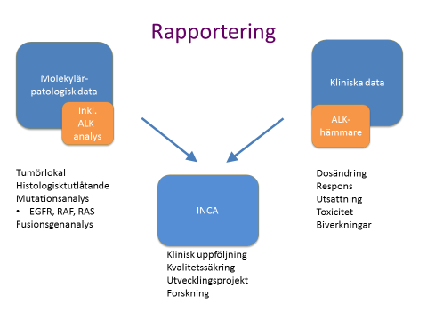 2 Registrering av biomarkörer och kliniska data i cancerportalen En registermodul för molekylärpatologiska data arbetades fram inom planeringsgruppen för Svensk Molekylärpatologi.