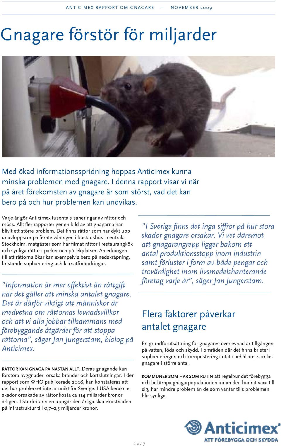 Allt fler rapporter ger en bild av att gnagarna har blivit ett större problem.