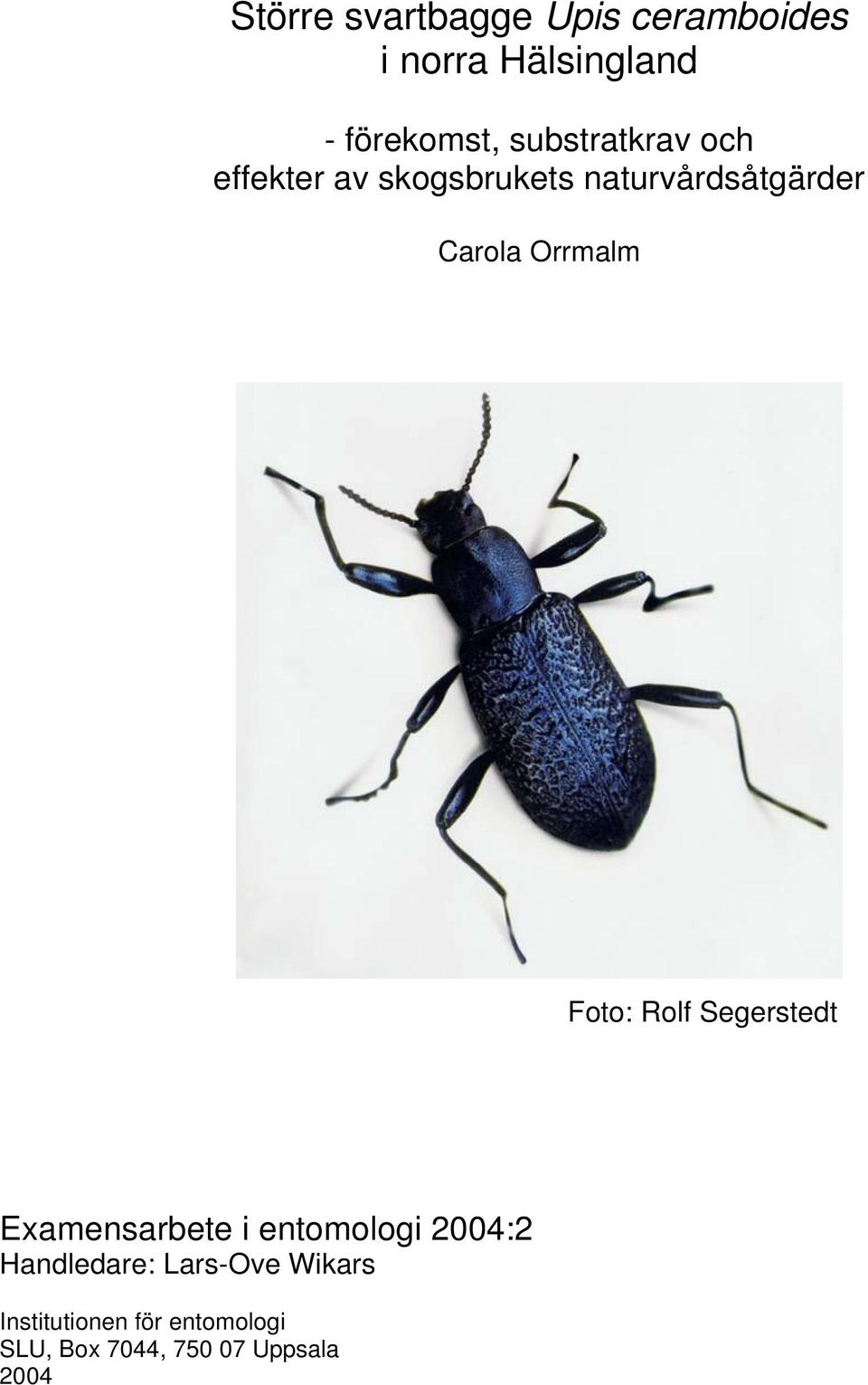 Orrmalm Foto: Rolf Segerstedt Examensarbete i entomologi 2004:2