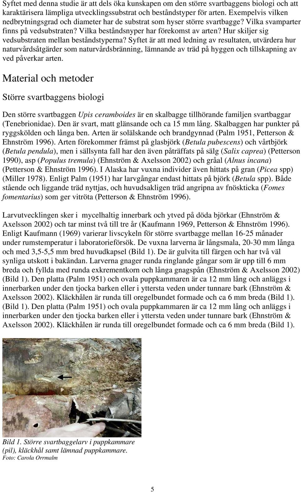Hur skiljer sig vedsubstraten mellan beståndstyperna?