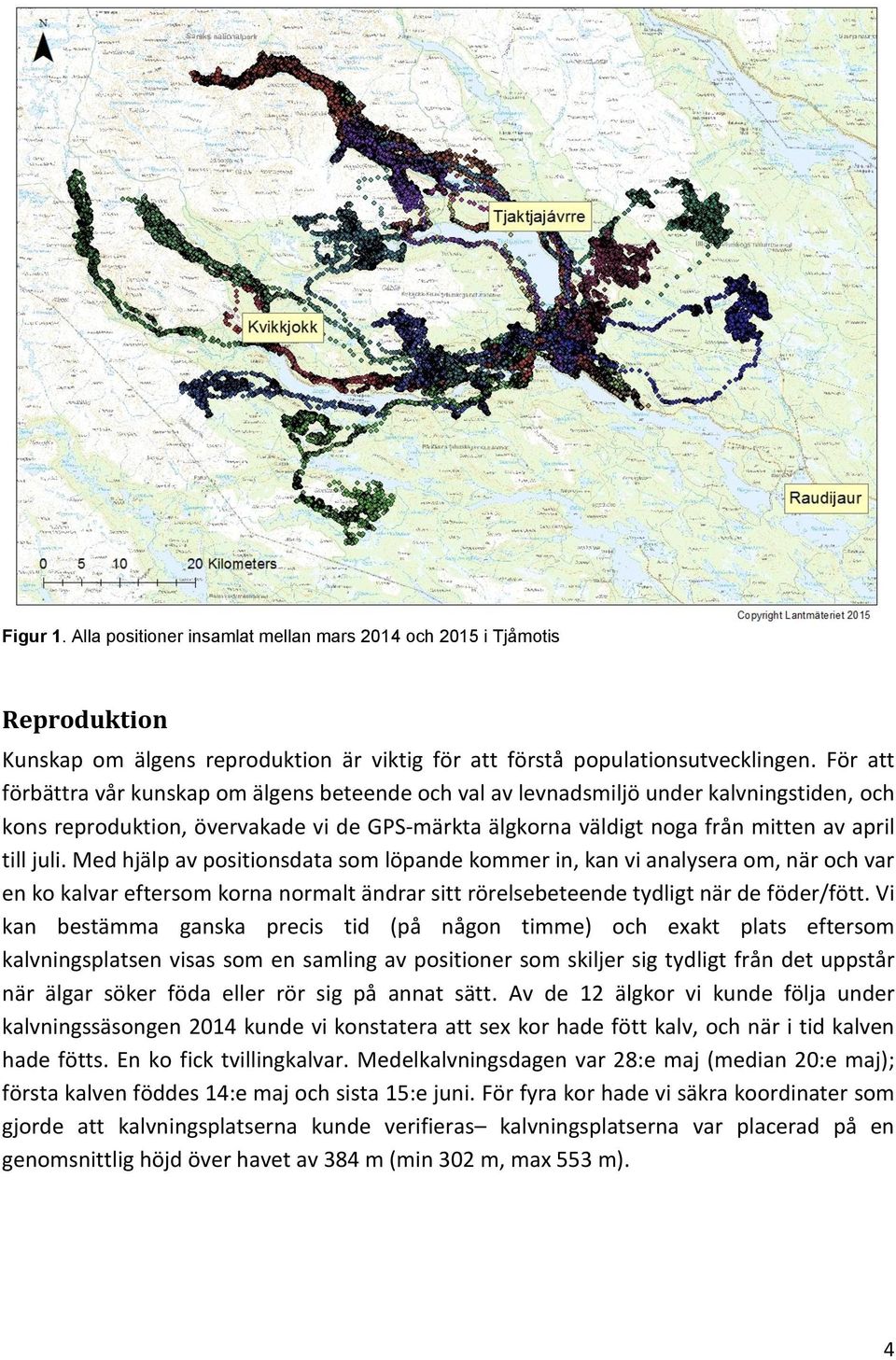 Med hjälp av positionsdata som löpande kommer in, kan vi analysera om, när och var en ko kalvar eftersom korna normalt ändrar sitt rörelsebeteende tydligt när de föder/fött.