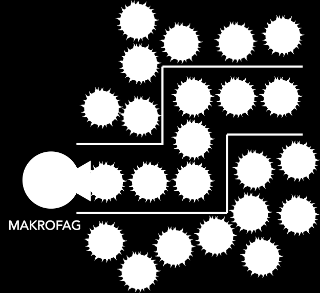 BI 505 kan förhindra eller fördröja återfall Behandling med