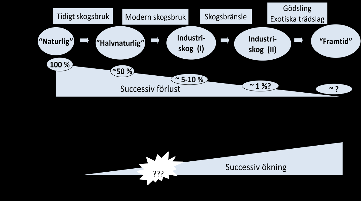 o Arealen naturskogsliknande miljöer har minskat och fragmenterats o Inslaget av äldre lövträd och mängden grov död ved har minskat Figur 10.4.