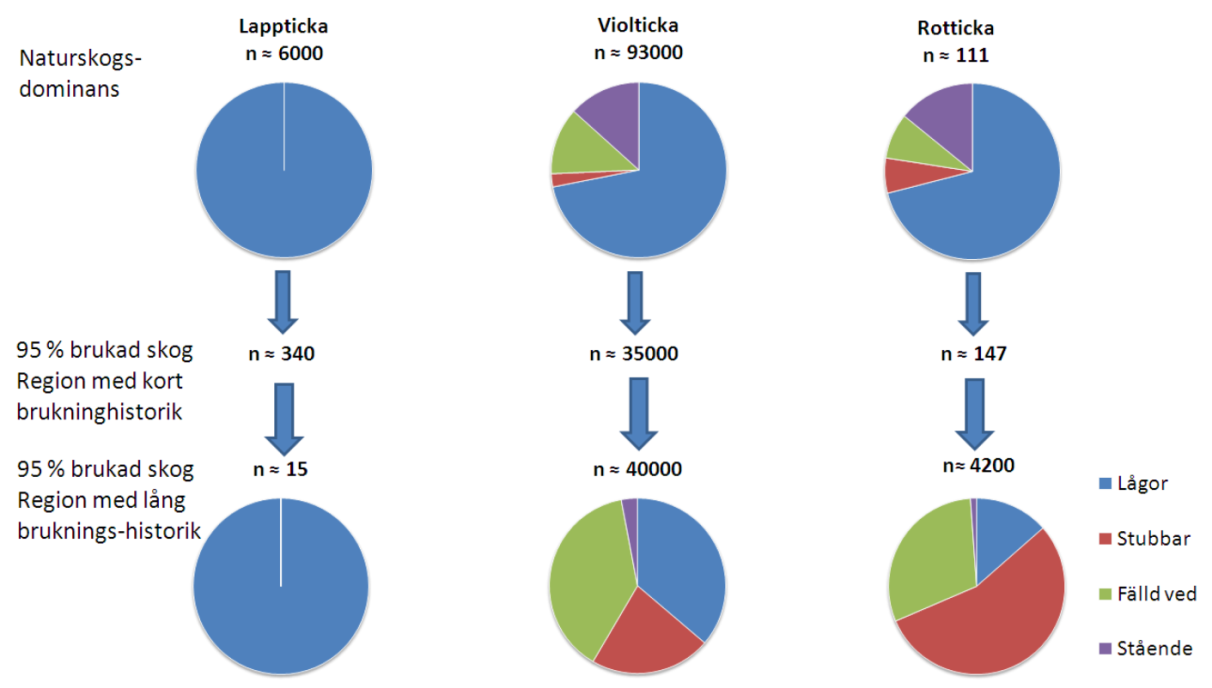 Figur 10.14. Simulerat antal vedsubstrat med förekomst av fruktkroppar (n) av fyra vedsvampsarter i fiktiva landskap i södra Finland; ett naturskogsdominerat landskap och två brukade landskap.