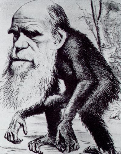 Darwins teori Fick brev av Alfred Russel Wallace 1858
