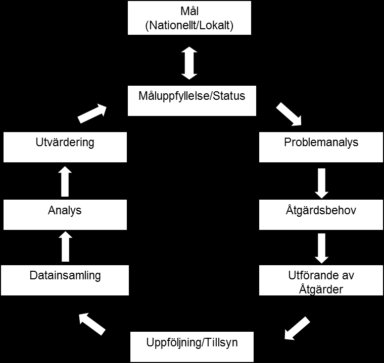 Figur 1. Schematisk bild av hur olika moment kan ingå i en adaptiv förvaltningsmodell.