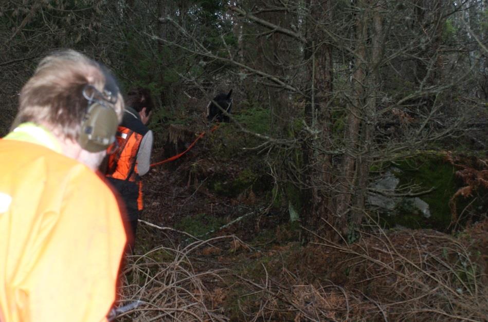 ÖVNING 2 - SÄKERHET SÄKERHET FRÅN BÖRJAN TILL SLUT Vapenhantering och skytte under spårning