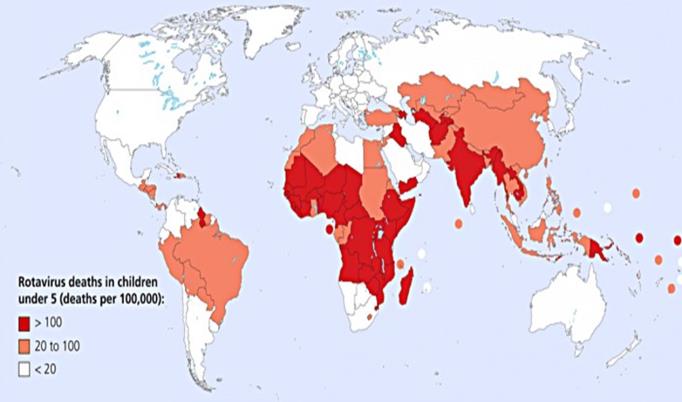 Bakgrund Rotavirus infektion är den globalt enskilt vanligaste etiologin till allvarlig gastroenterit hos barn Av 59 miljoner barn som dog under fem års ålder i världen