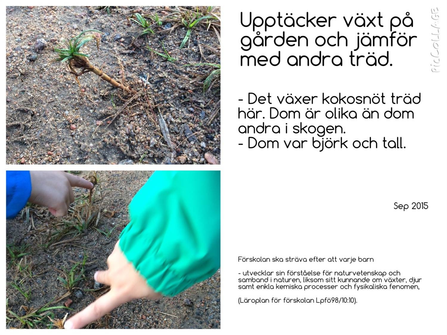 c. Ange en länk tll en webbplats där n vsar upp ert Grön Flagg-arbete. Detta är valfrtt. www.karlskrona.