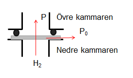 Fig. 6.2. Membranet och antydda flöden, normalt och lateralt. Detta var inte vad vi observerade utan vi kunde notera en minskning av trycket med tiden efter det att ett maximum byggts upp.