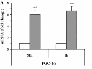Effects of moderate-intensity endurance and high-intensity intermittent training on anaerobic capacity and VO 2max TABATA I; NISHIMURA K; KOUZAKI M; HIRAI Y; OGITA F; MIYACHI M; YAMAMOTO K MAX