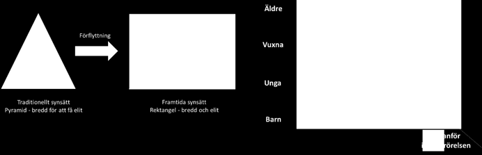 LIVSLÅNGT IDROTTANDE Svensk idrott ska ha en attraktiv verksamhet där barn, unga, vuxna och äldre kan och vill träna och tävla under hela livet.