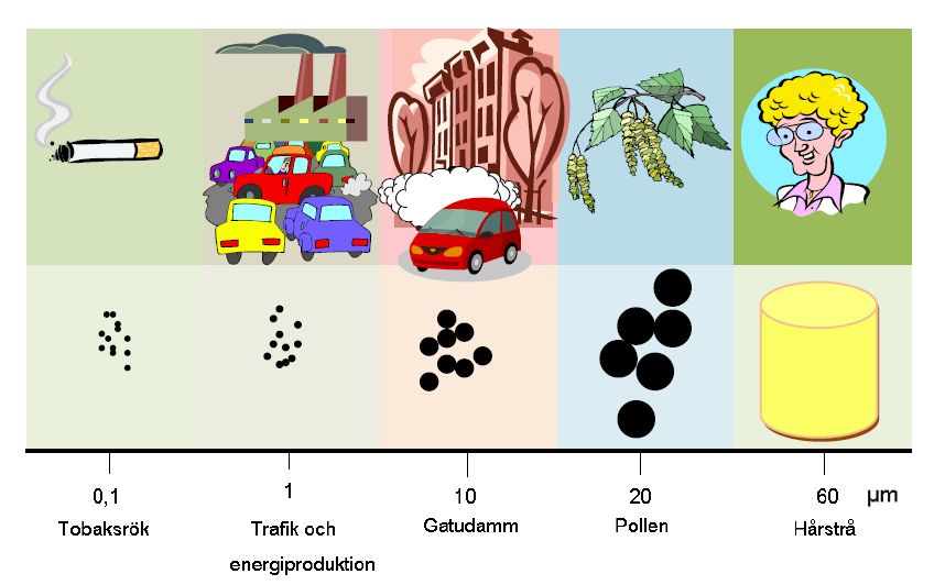 Hälsoeffekter och lättare (PM2,5) men betydligt fler. PM10 är ett samlingsnamn för partiklar mindre än 10 µm (1 000-dels millimeter).