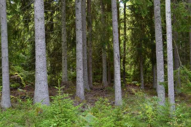 Försäljningssätt Fastigheten säljs genom skriftlig budgivning. Pris 3 950 000 kr eller högstbjudande.
