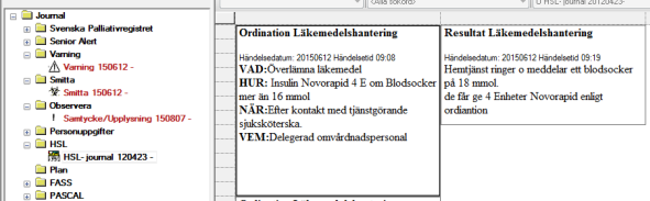 Formulera hälsotillståndet det ska tydligt utgå från resultat i anamnes/status och riskbedömning. Kan innefatta: Hälsoproblem, orsaker.