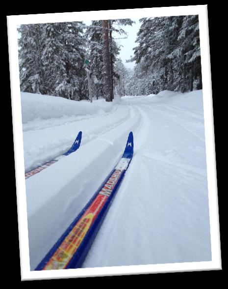 Vintern närmar sig med stormsteg. Barmarksträningen i all ära men det är snö vi vill ha.