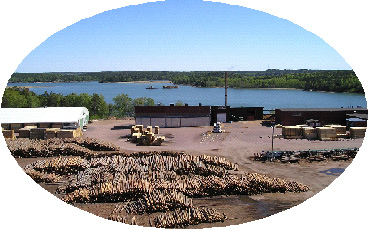 Ålands Skogsindustrier / Ab Skogen Verksamhetsområde: Skogsavverkning och virkesförädlingsindustrin Antal anställda: 29 st Omsättning: ca 9 miljoner Exportandel: ca 65 % (till Sverige, Belgien,