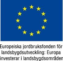 Anvisning till blanketten Ansökan miljöinvestering - fast ersättning 2014-2020 Vem ska använda blanketten?